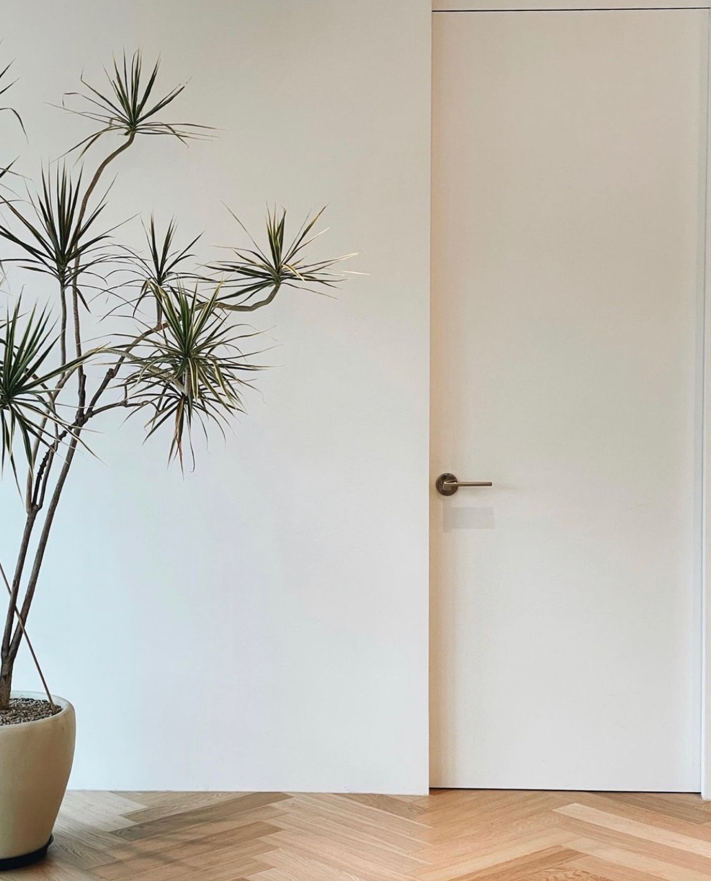 스타트업 사무실