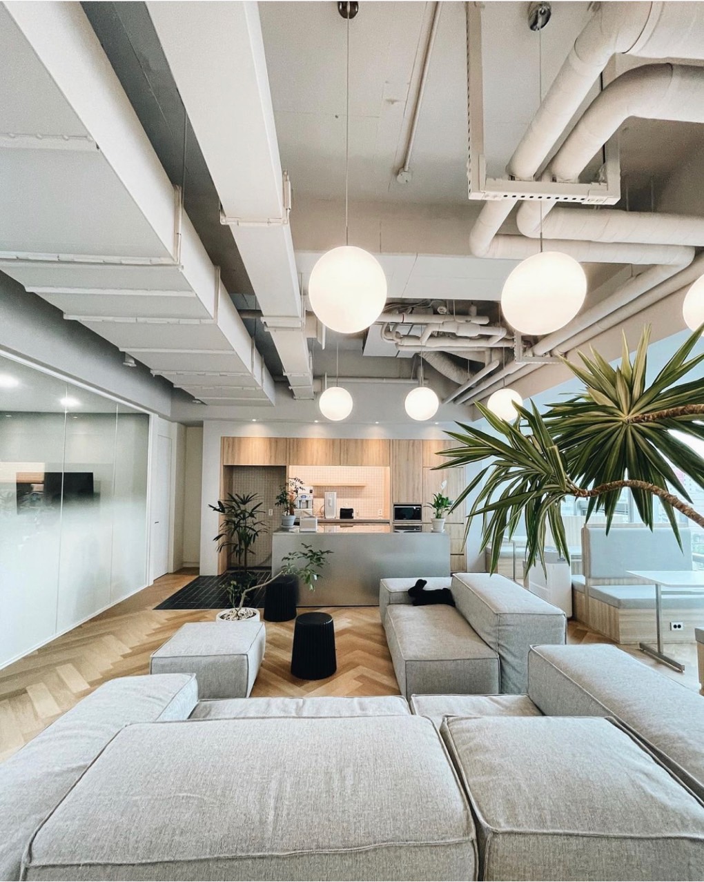 스타트업 사무실